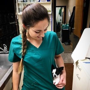 Meet your Posher, Clara